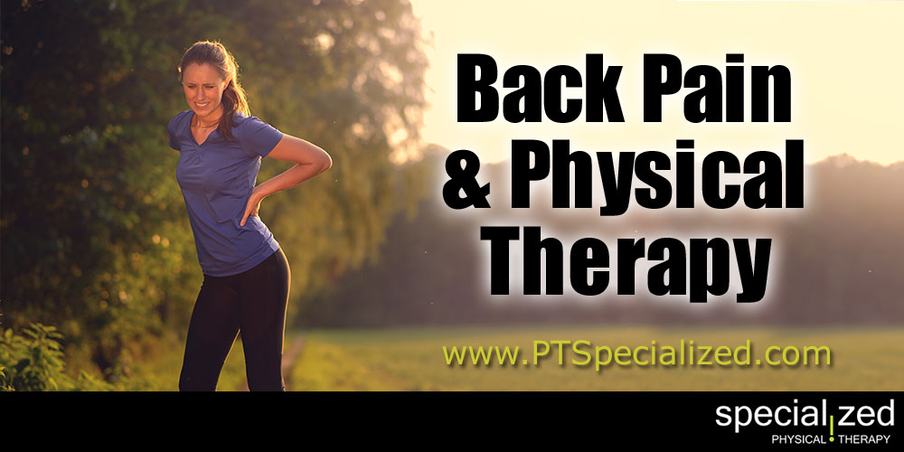 Why To See A Physical Therapist FIRST For Back Pain