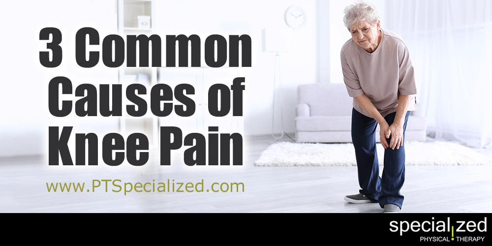3 Common Causes of Knee Pain... No matter your age or gender, knee pain can make you feel old and crotchety. Your knees are a super important part of staying mobile. There are numerous causes, but here are some of the most common.