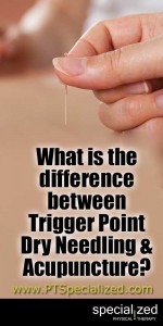 What is the difference between dry point needling and acupuncture