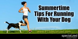 Summertime Tips For Running With Your Dog
