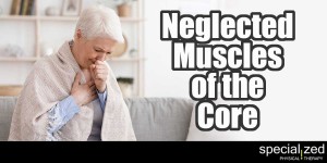 Neglected Muscles of the Core: The Connection Between the Diaphragm and the Pelvic Floor